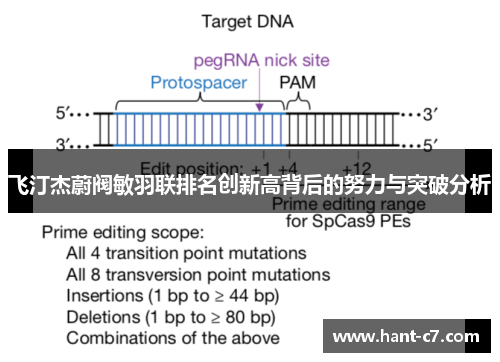 飞汀杰蔚阀敏羽联排名创新高背后的努力与突破分析 飞汀杰蔚阀敏羽联排名创新高背后的努力与突破分析